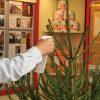 66-Christmas_tree1 66-Christmas_tree1